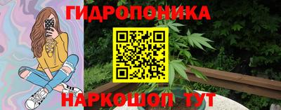 PSILOCYBIN Кингисепп
